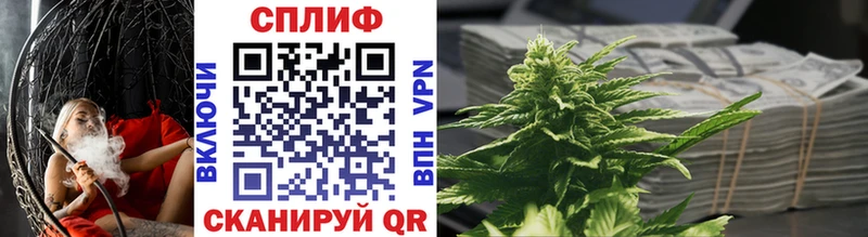Бошки Шишки THC 21%  где можно купить   omg ССЫЛКА  Рузаевка 